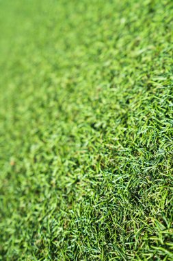 Yeşil suni çim arka plan dokusu
