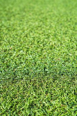 Yeşil çim arka plan doku sahte