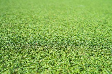 Arka planı yeşil suni çim