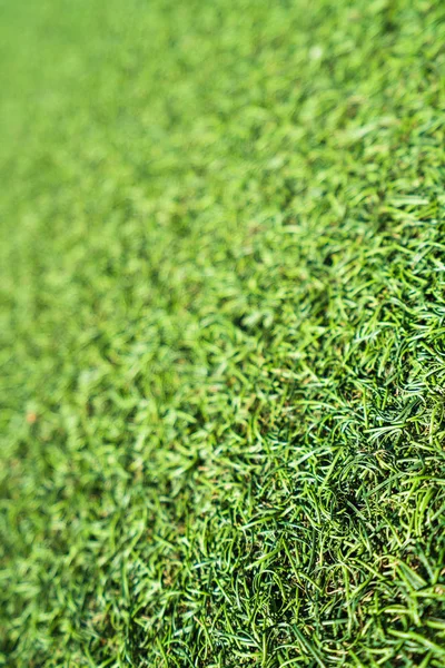 Yeşil suni çim arka plan dokusu
