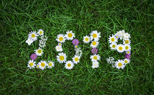 Año nuevo 2019 hecho de flores de jardín en la hierba — Foto de Stock