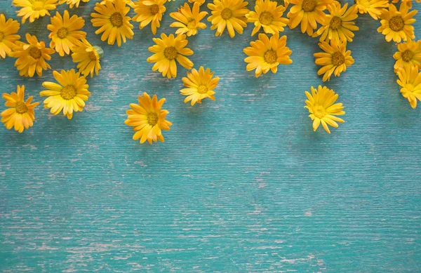 Flores Amarillas Anaranjadas Sobre Fondo Azul Madera — Foto de Stock