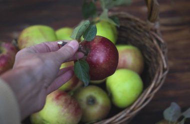 El ve sepet içinde kırmızı elma ile elma ahşap masa üzerinde.