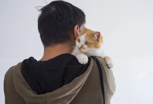 Gato bonito sentado no ombro do homem . — Fotografia de Stock