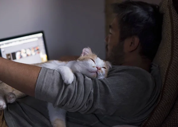 Söt leende lycklig katt liggande på det mans skuldra fördriva tiden han er arbetande på computern. — Stockfoto