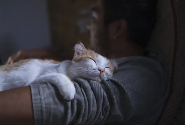 Милый улыбающийся счастливый кот лежит на плече мужчины — стоковое фото