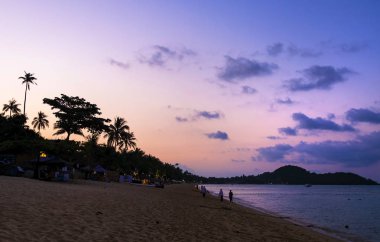 Tropikal plajda güzel mor gün batımı, Koh Samui Adası, Tayland