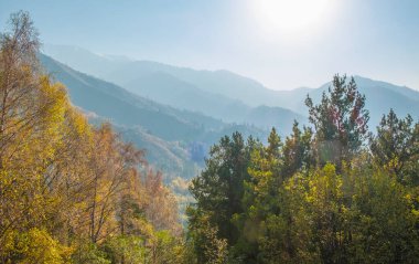 Dağlarda güzel bir sonbahar. Almaty, Kazakistan