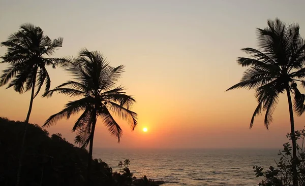 Hermosa puesta de sol sobre el mar y silueta de palmeras en Goa, India . —  Fotos de Stock