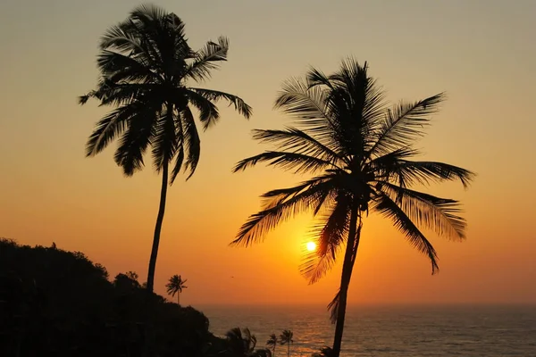 Splendido tramonto sul mare e silhouette di palme a Goa, India . — Foto Stock