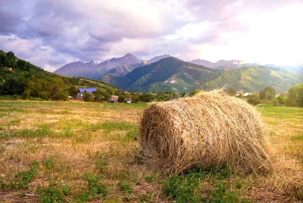 Haystack na poli s horami na pozadí — Stock fotografie