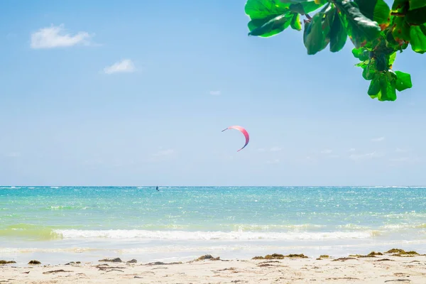 Güzel turkuaz denizde sörf tahtası
