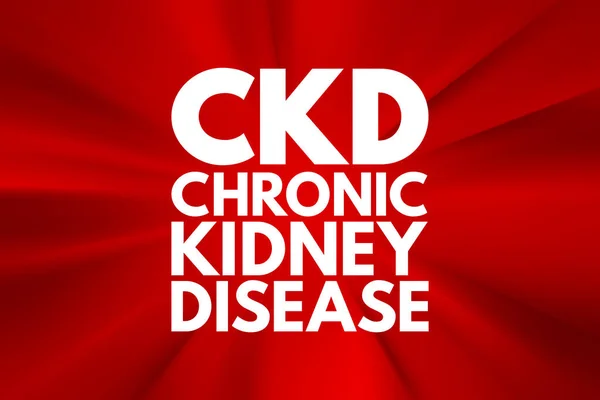 Ckd Kronisk Njursjukdom Akronym Medicinska Begrepp Bakgrund — Stockfoto