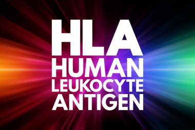 HLA - İnsan lökosit Antijen kısaltması, tıbbi konsept geçmişi