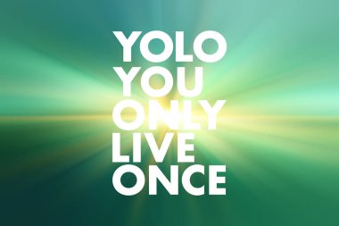 YOLO - Sadece Bir Kısaltma Yaşarsın, kavram geçmişi