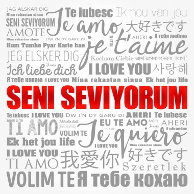 Seni seviyorum (Türkçe seni seviyorum) dünyanın farklı dillerinde