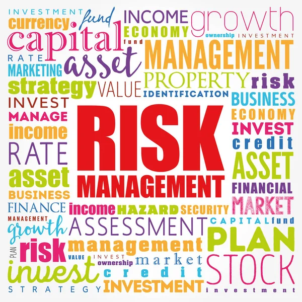 Risk Management word cloud collage, business concept background