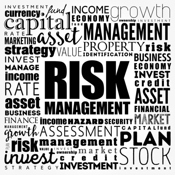 Risk Management word cloud collage, business concept background