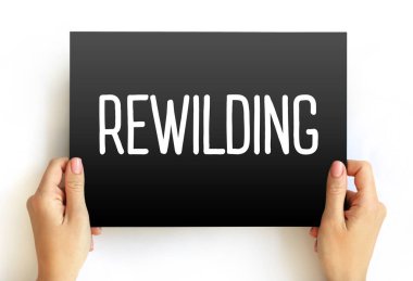 Baş döndürücü - faaliyetler, doğal süreçleri ve vahşi alanları geri getirme ve koruma amaçlı koruma çabalarıdır, karttaki metin kavramı