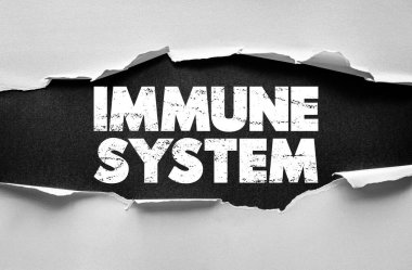 Yırtık kağıda yazılmış immün sistem mesajı. Sağlığı, korunmayı ve vücut gücünü destekleyen motive edici sağlık metni. Tıbbi, yaşam tarzı ve sağlıkla ilgili iletişim için mükemmel.