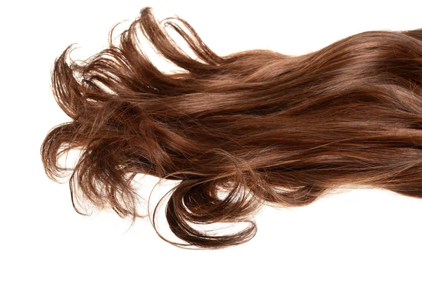 Lange Lockige Brünette Braune Haare Isoliert — Stockfoto