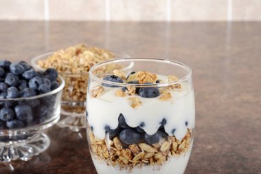 yaban mersini parfait closeup