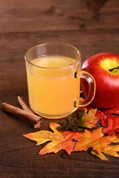 苹果酒 肉桂棒和秋季彩色叶子 — 图库照片