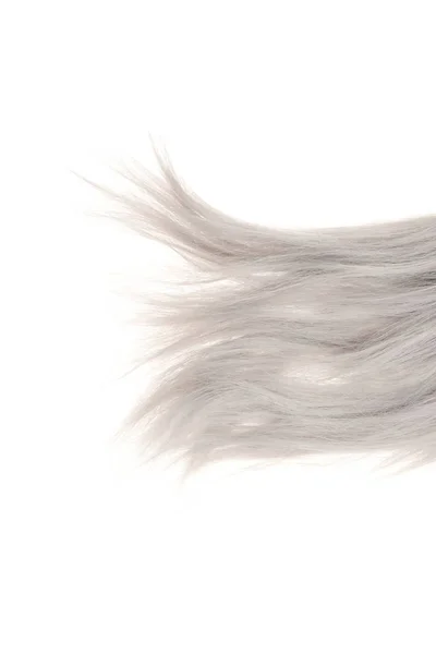 Closeup Grey Weft Hair — Stock Photo, Image