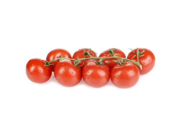 つるのクローズ アップ有機チェリー トマト — ストック写真