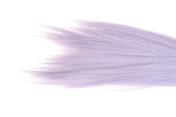 Closeup Cabelo Cor Malva — Fotografia de Stock