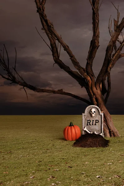 Fresh Grave Tombstone Pumpkin — Stock Photo, Image