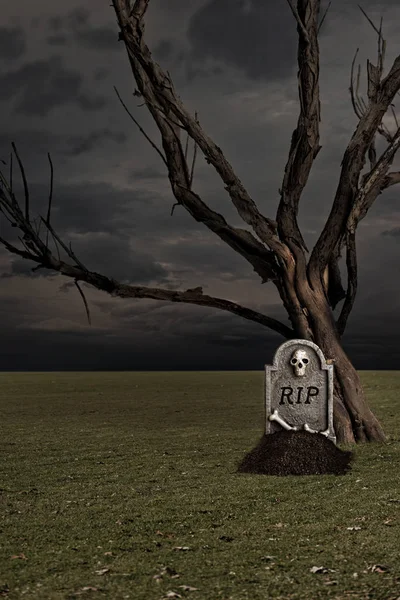 Grave Dead Old Tree — Stock Photo, Image