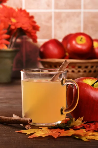 Tasse Cidre Pomme Chaud Avec Bâton Cannelle — Photo