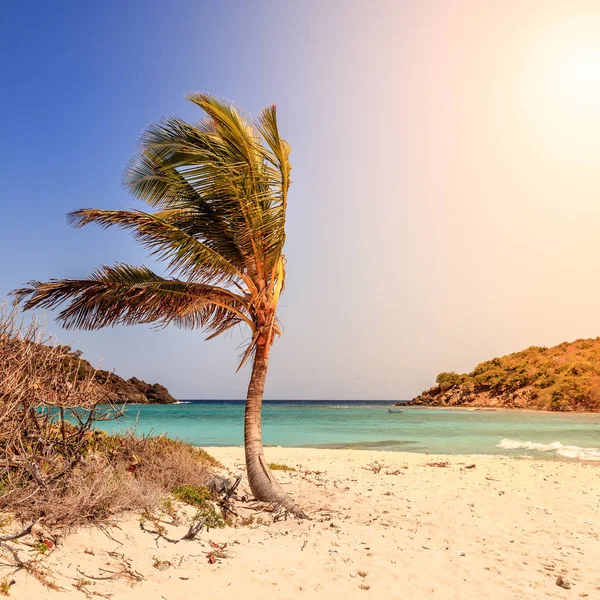 Pusta Plaża Sielankowy Małej Wyspie Bvi — Zdjęcie stockowe