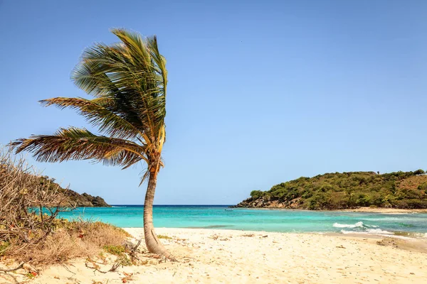 Praia Idílica Vazia Pequena Ilha Nas Ilhas Virgens Britânicas — Fotografia de Stock