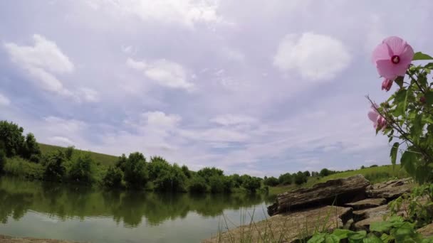 Lapso Tempo Nuvens Movendo Sobre Pequeno Lago Kentucky Rural — Vídeo de Stock
