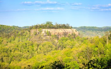 Overlook of Ravens Rock at Red River Gorge in Kentucky clipart