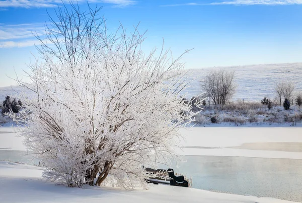 Прекрасное Зимнее Утро Маленьком Озере Возле Джорджтауна Кентукки — стоковое фото