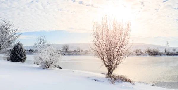 美丽的冬日早晨在乔治敦附近的小湖 肯塔基州 — 图库照片