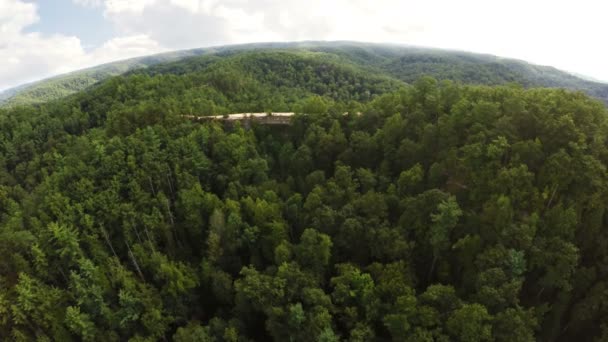 自然な橋ケンタッキーのダニエル ブーン国有森林での空撮 — ストック動画