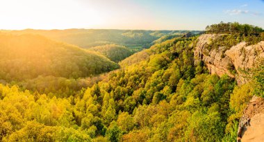 Panoramic view from ridge top at Red River Gorge in Kentucky clipart