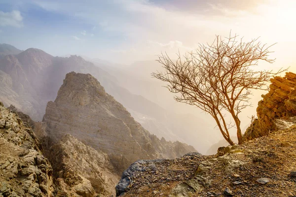 Ras Khaimah Birleşik Arap Emirlikleri Batımında Hajar Dağları Nın Çorak — Stok fotoğraf