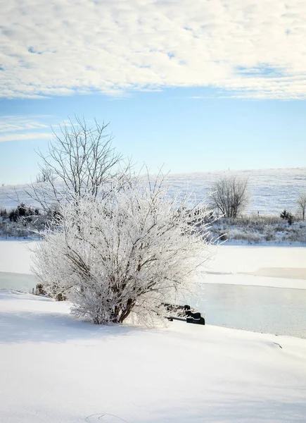 Hermosa Mañana Invierno Pequeño Lago Cerca Georgetown Kentucky —  Fotos de Stock