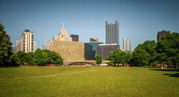 Uitzicht Skyline Van Downtown Pittsburgh Van Point State Park — Stockfoto