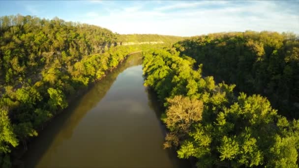 Rio Kentucky Palisades Cercado Por Árvores Verdes — Vídeo de Stock