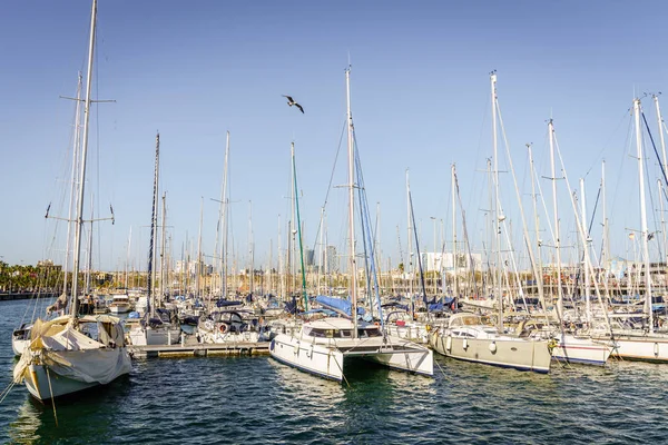 Veleiros Atracados Marina Barcelona Dia Primavera Brilhante — Fotografia de Stock