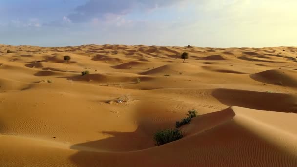 Aerial View Sand Dunes Desert Abu Dhabi Uae — Stock Video