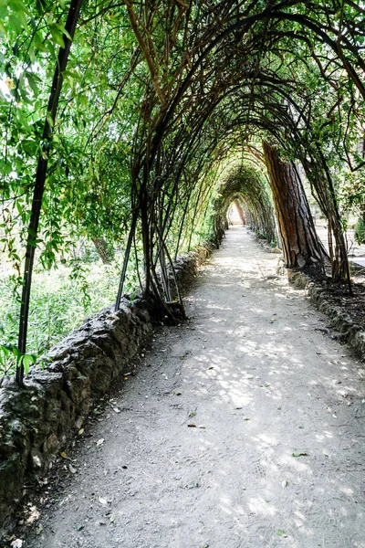 スペイン バルセロナの公園にある日陰の路地 — ストック写真