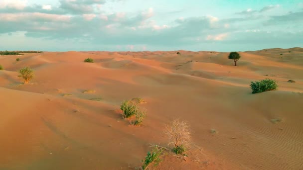 アブダビ アラブ首長国連邦の砂漠で砂丘の航空写真 — ストック動画