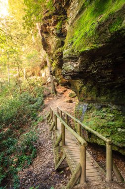 Kentucky 'deki Doğal Köprü Parkı' nda yürüyüş yolu.